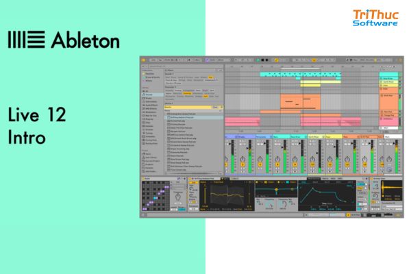 Ableton Live 12 Intro