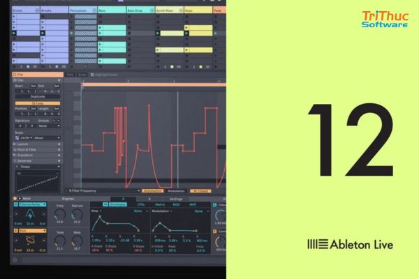 Ableton Live 12 Intro