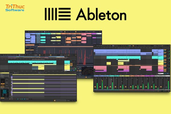 Ableton Live 12 Standard