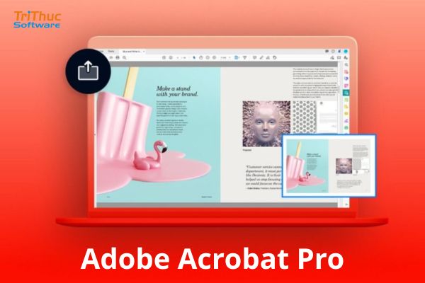 Acrobat Pro
