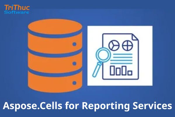 Aspose.Cells for Reporting Services Aspose.Cells for Reporting Services