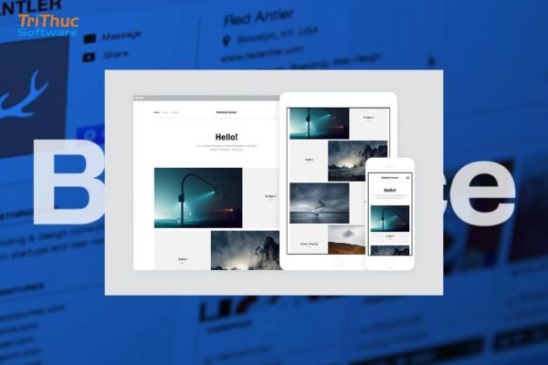 Behance là gì? Hướng dẫn chi tiết từ A–Z cho người mới