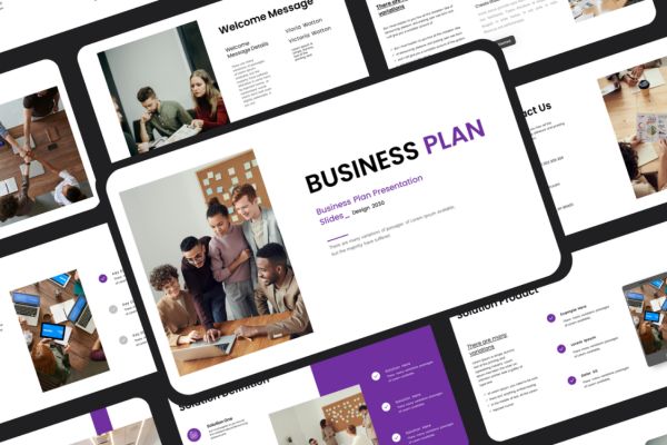 Business Plan Pro