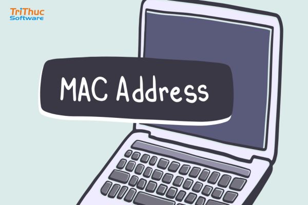 CC Get MAC Address