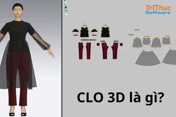 CLO 3D là gì