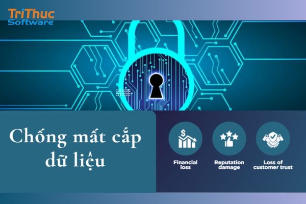 Chống Mất Cắp Dữ Liệu: Nguyên Nhân Và Biện Pháp