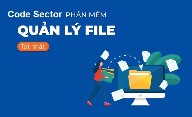 Giới thiệu chung về Code Sector là gì