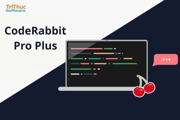 Tư vấn phần mềm CodeRabbit Pro Plus bản quyền