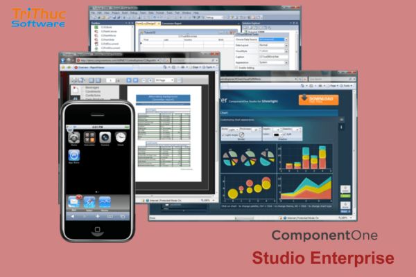 ComponentOne Studio Enterprise