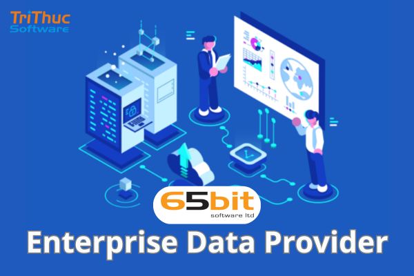 Enterprise Data Provider