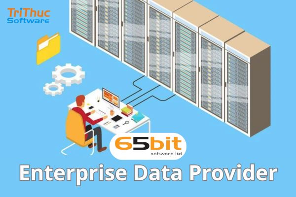 Enterprise Data Provider