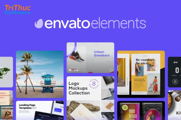 Envato Placeit là gì