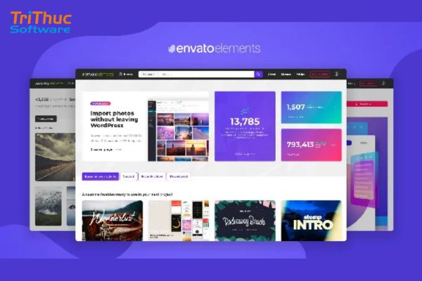 Envato Placeit là gì