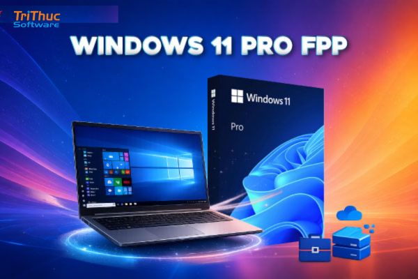 FPP là gì? Full Packaged Product và cách phân biệt FPP với OEM, ESD