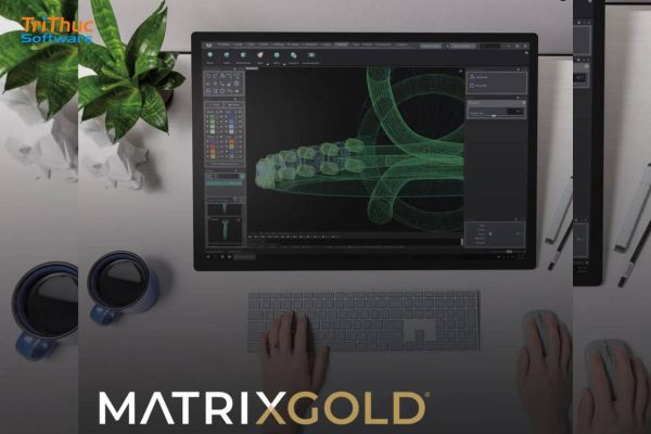 phần mềm Gemvision MatrixGold