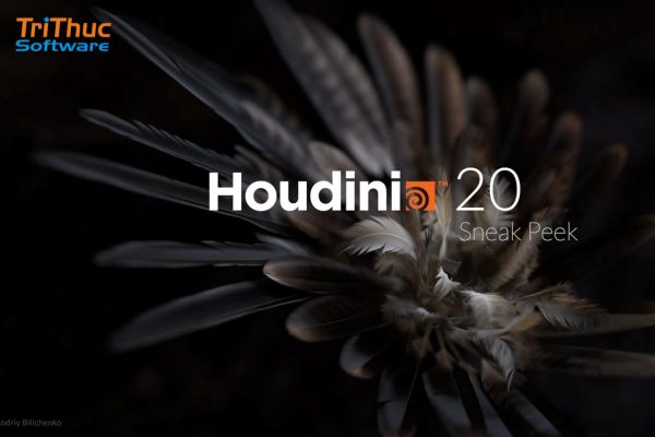 Houdini là gì