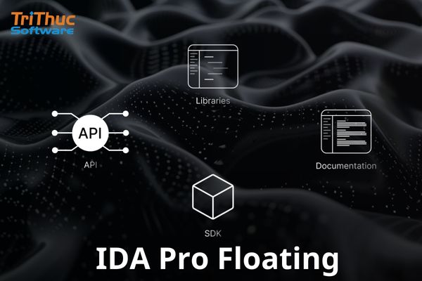 IDA Pro Floating