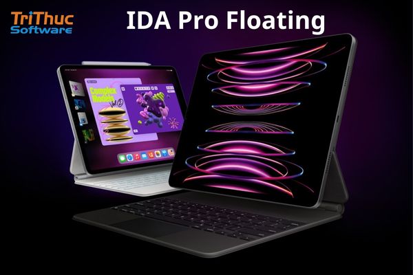 IDA Pro Floating