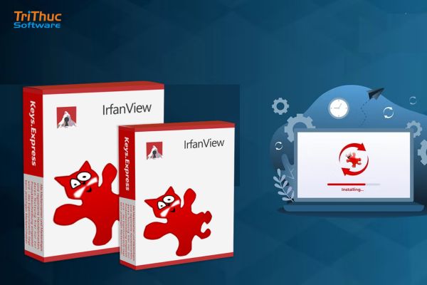 IrfanView bản quyền