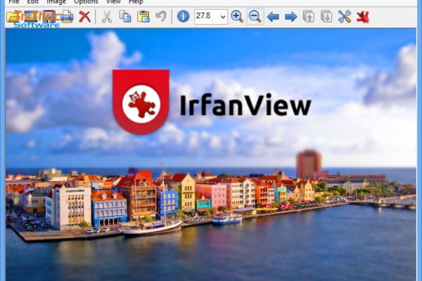 IrfanView bản quyền