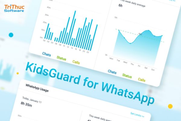KidsGuard for WhatsApp