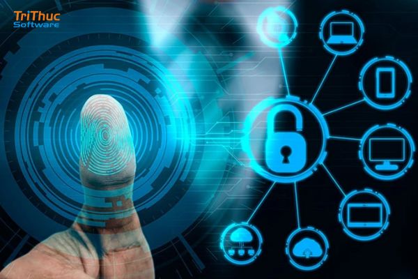 Microsoft Identity là gì