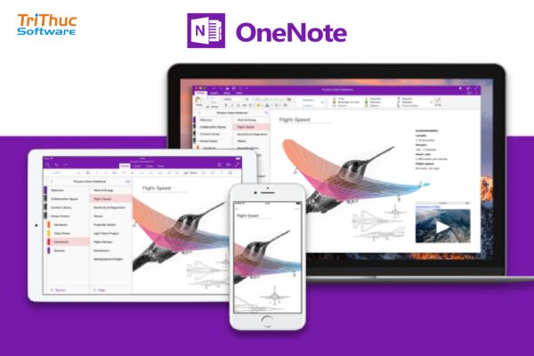 Microsoft OneNote là gì