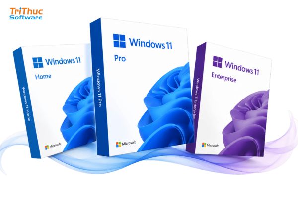 Mua Windows 11 bản quyền chính hãng – Giá tốt, kích hoạt nhanh, hỗ trợ tận nơi