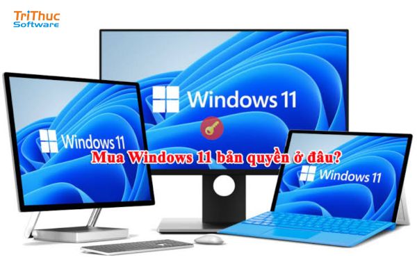 Mua Windows 11 bản quyền chính hãng – Giá tốt, kích hoạt nhanh, hỗ trợ tận nơi