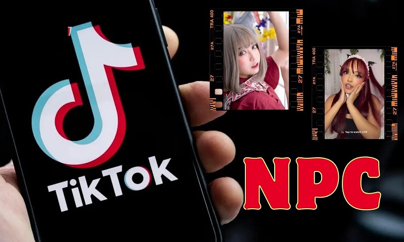 NPC Là Gì? Bot Là Gì? So Sánh NPC Và Bot
