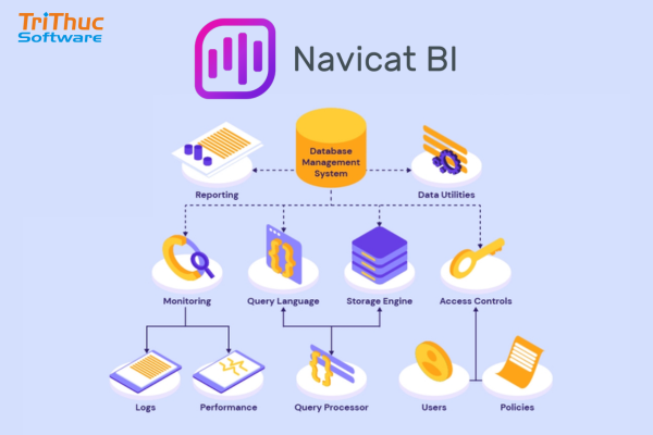 Navicat BI Navicat BI