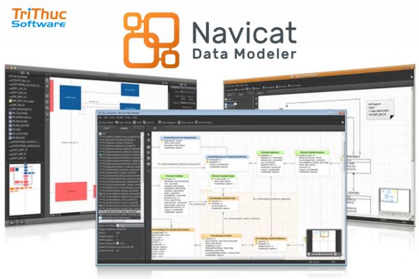 Navicat Data Modeler Navicat Data Modeler