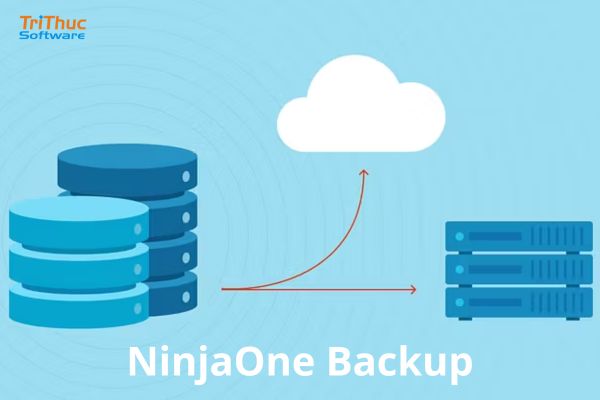 Tư vấn và báo giá phần mềm NinjaOne Backup bản quyền