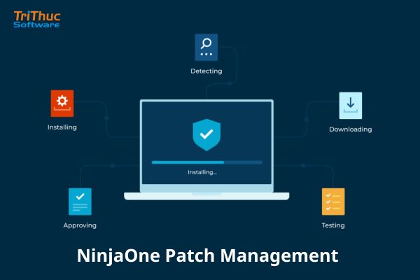 Tư vấn phần mềm NinjaOne Patch Management bản quyền