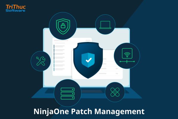 Tư vấn phần mềm NinjaOne Patch Management bản quyền