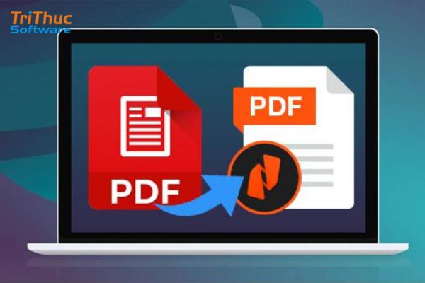 Nitro PDF là gì