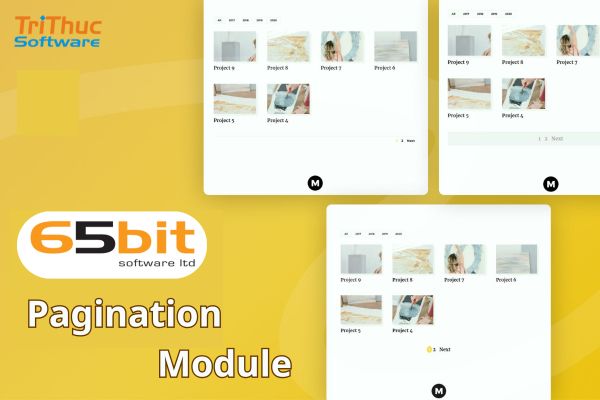 Pagination Module