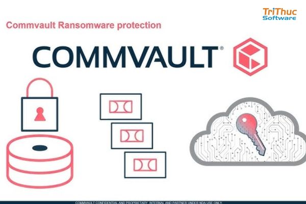 Phần mềm Commvault Phần mềm Commvault