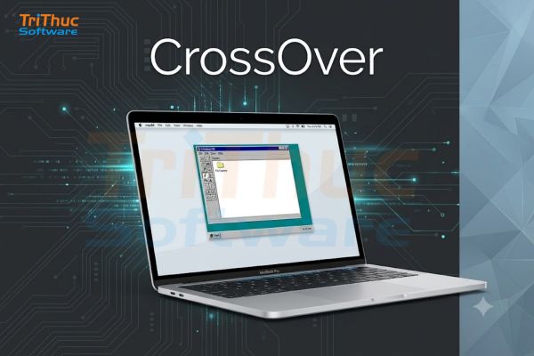 Phần mềm CrossOver 2026: Hướng dẫn tải, cài đặt và giá mua bản quyền
