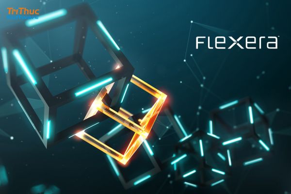 phần mềm Flexera