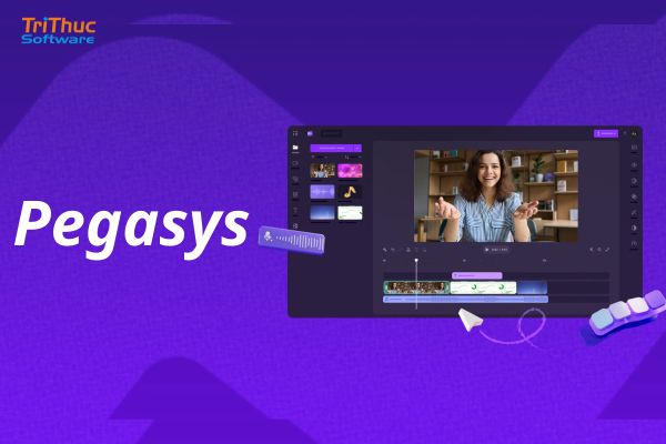 Phần Mềm Pegasys Chính Hãng: Ưu Điểm Và Báo Giá Mới Nhất