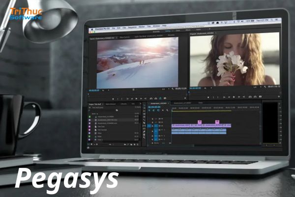 Phần Mềm Pegasys Chính Hãng: Ưu Điểm Và Báo Giá Mới Nhất