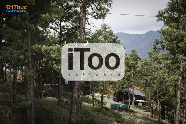 iToo Software là gì