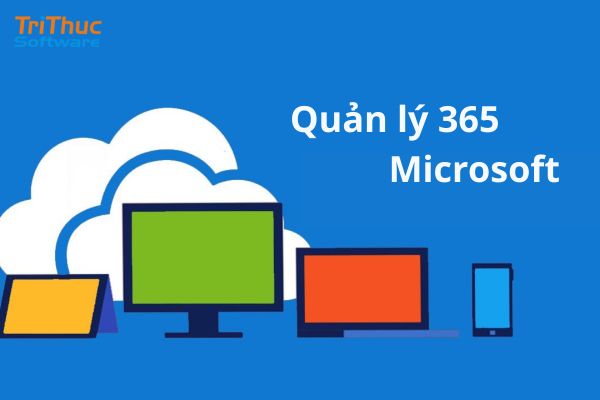 quản lý 365 là gì