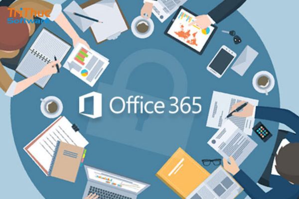 quản lý 365 là gì