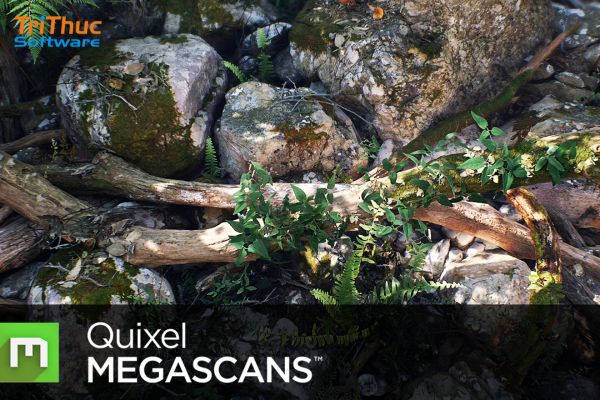 Quixel là gì