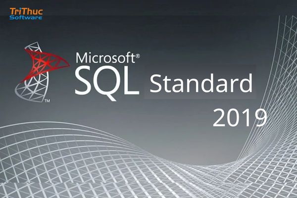 SQL Standard 2019 là gì