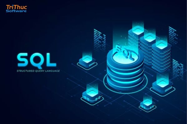 SQL Standard 2019 là gì