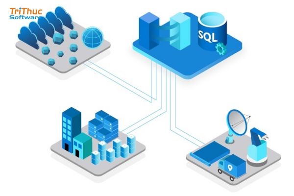 SQL Standard 2019 là gì