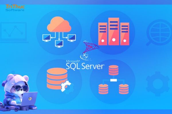 SQL Standard 2019 là gì